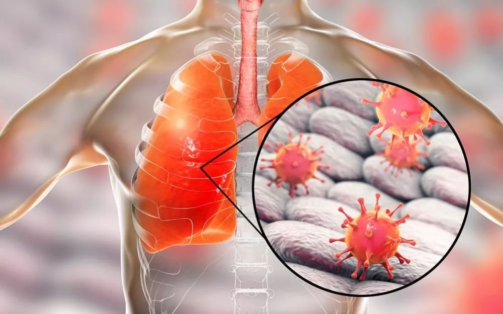 kaiyunapp-关于风云突变浙江稠州转会期完成体检,德国杯版图或变,引发热议,医务组通报恢复的信息